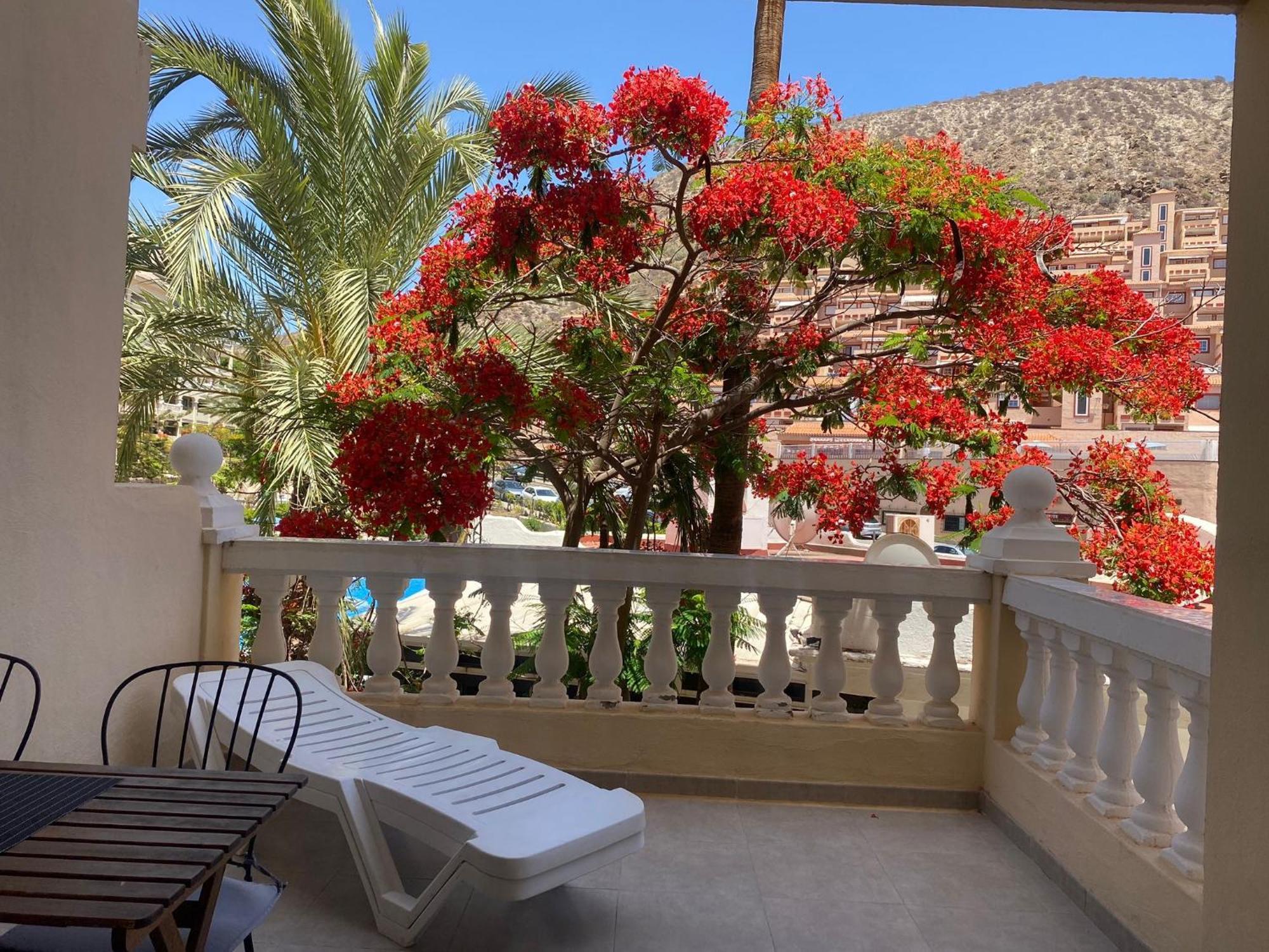 Castle Harbour Samuel'S Studio Flat By Lovetenerife Los Cristianos  Exteriér fotografie